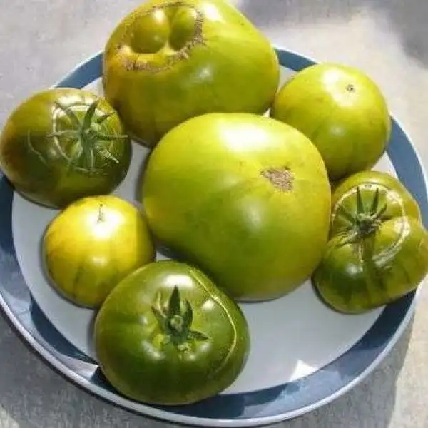 Tomaten: Green Pineapple