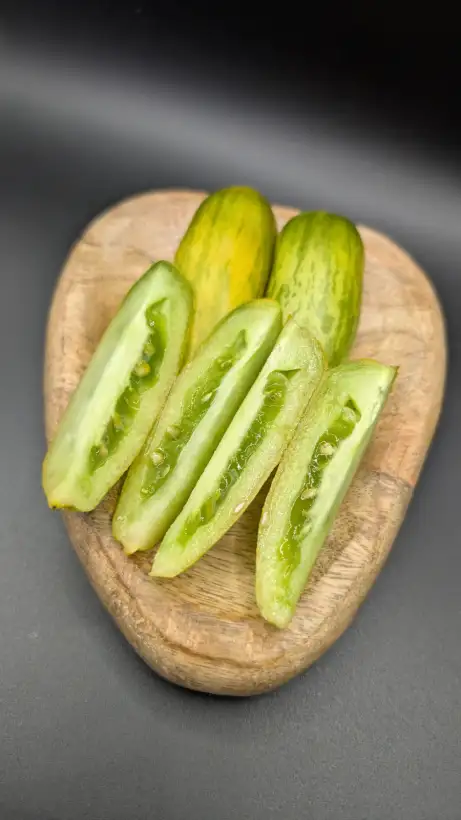 Tomaten: Green Sausage (Dwarf)