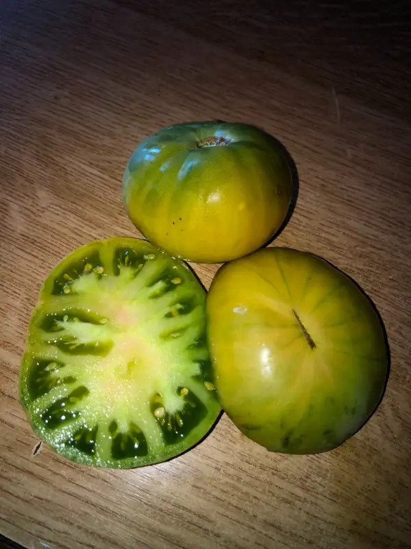 Tomaten: Green Skin Longkeeper