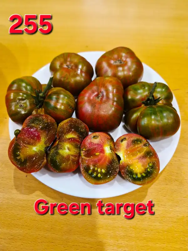 Tomaten: Green target
