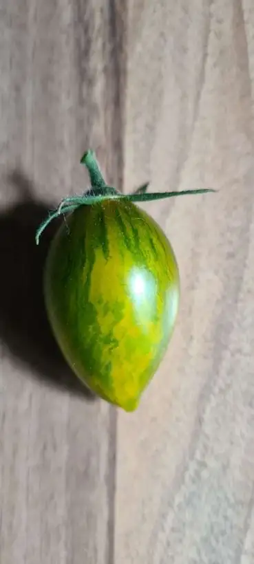 Tomaten: Green Tiger