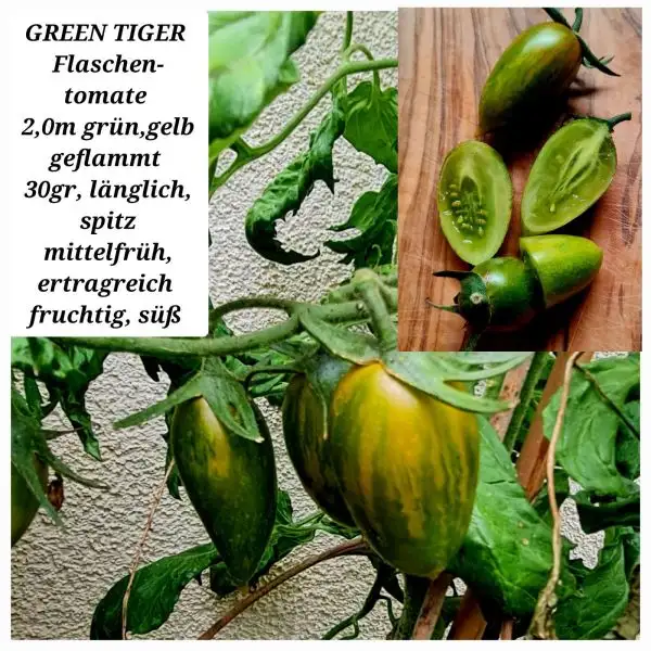 Tomaten: Green Tiger