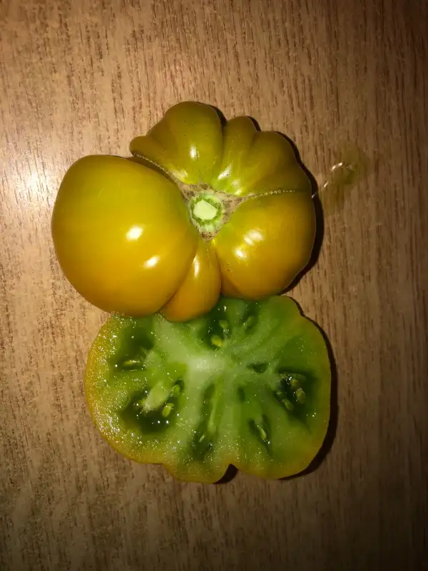 Tomaten: Green Velvet