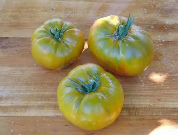 Tomaten: Green Velvet