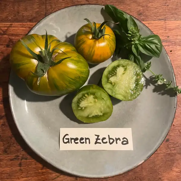 Tomaten: Green Zebra