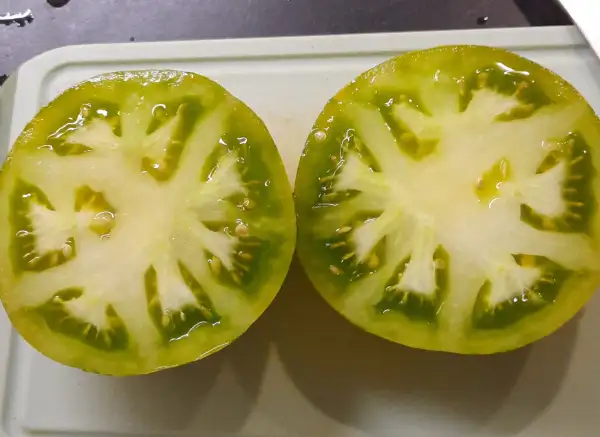 Tomaten: Green Zebra