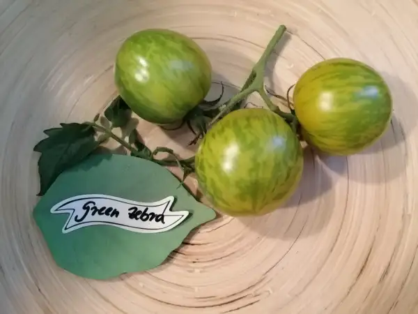 Tomaten: Green Zebra