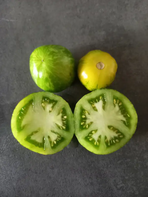 Tomaten: Green Zebra