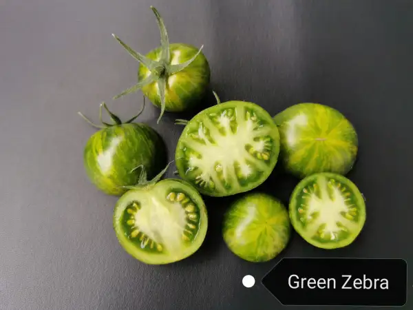 Tomaten: Green Zebra