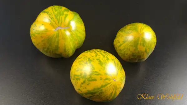 Tomaten: Green Zebra