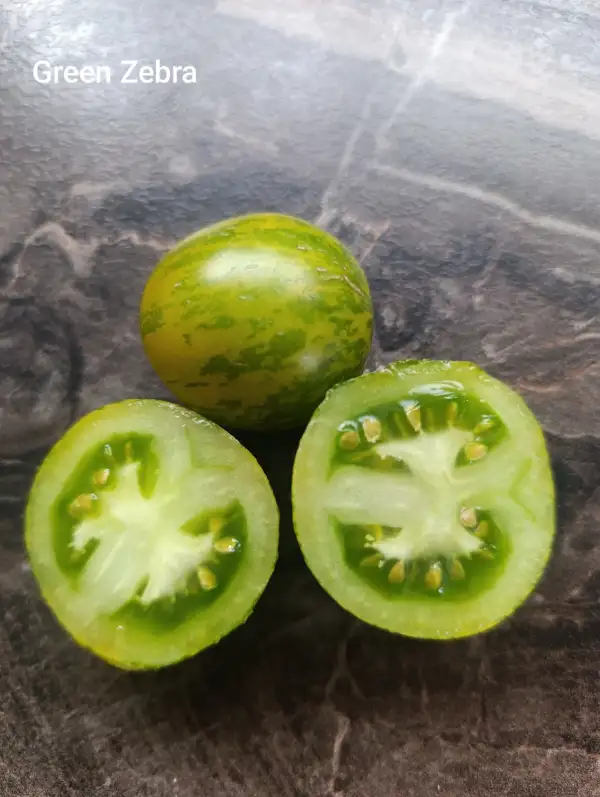 Tomaten: Green Zebra