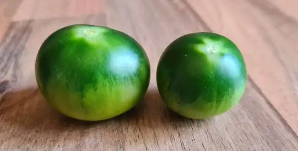 Tomaten: Grinch