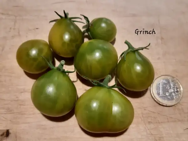 Tomaten: Grinch