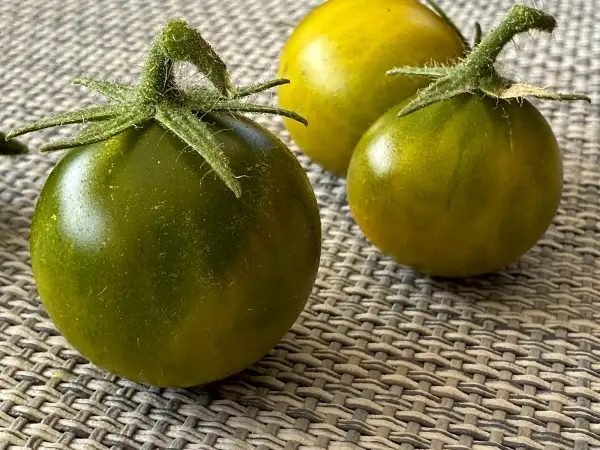 Tomaten: Grinch Cherry