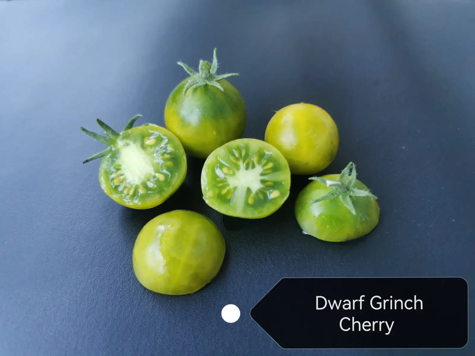 Tomaten: Grinch Cherry Dwarf