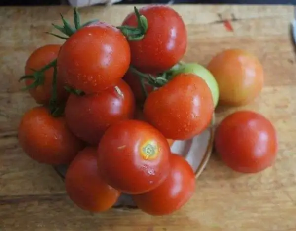 Tomaten: Grit