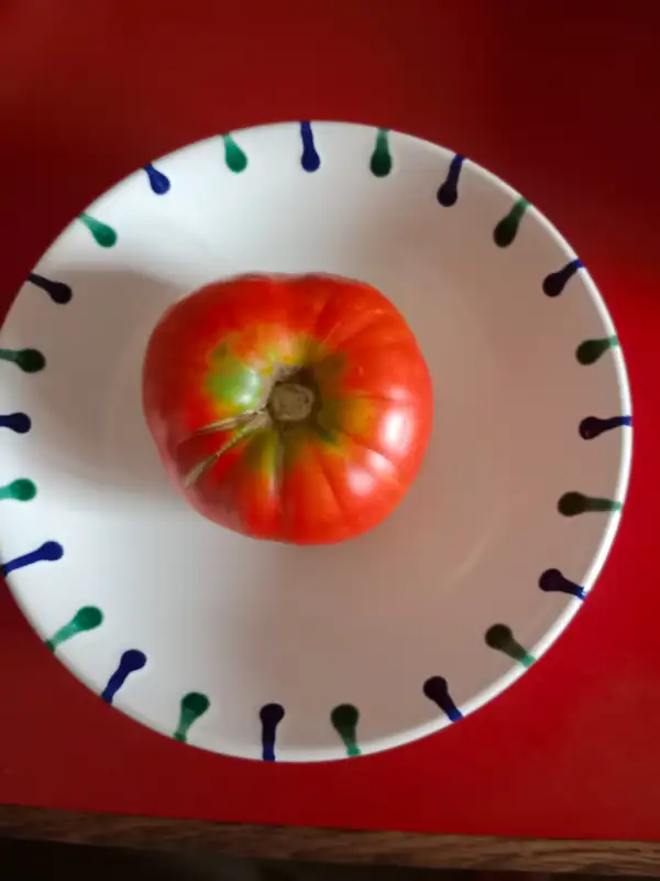 Tomaten: Große Rote von Schießerl