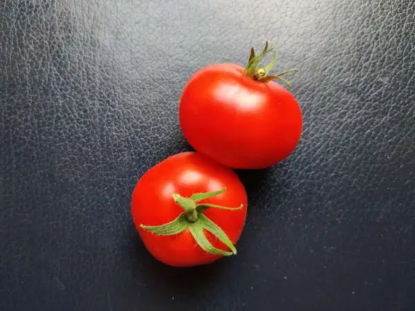 Tomaten: Großfrüchtiger Rother Liebesapfel