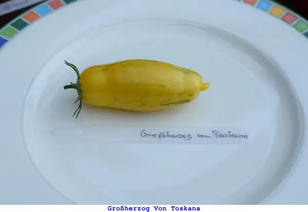 Tomaten: Großherzog Von Toskana