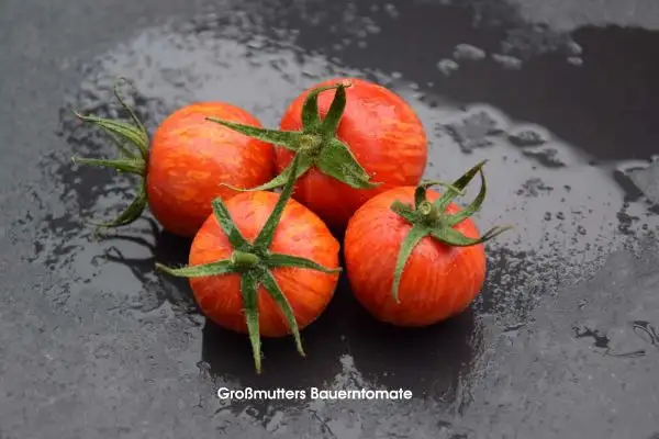 Tomaten: Großmutters Bauerntomate