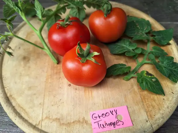 Tomaten: Groovy Tunes