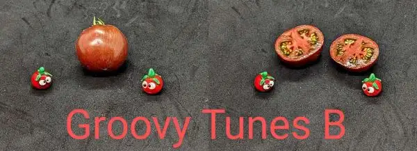 Tomaten: Groovy Tunes