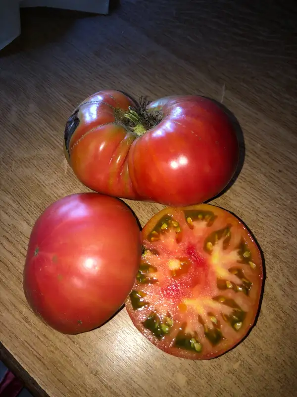 Tomaten: Grosse des Marais