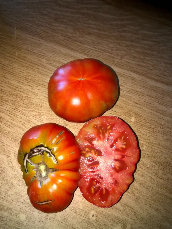 Tomaten: Grosse Ricard