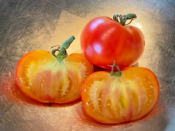 Tomaten: Grungy in the sky bicolor