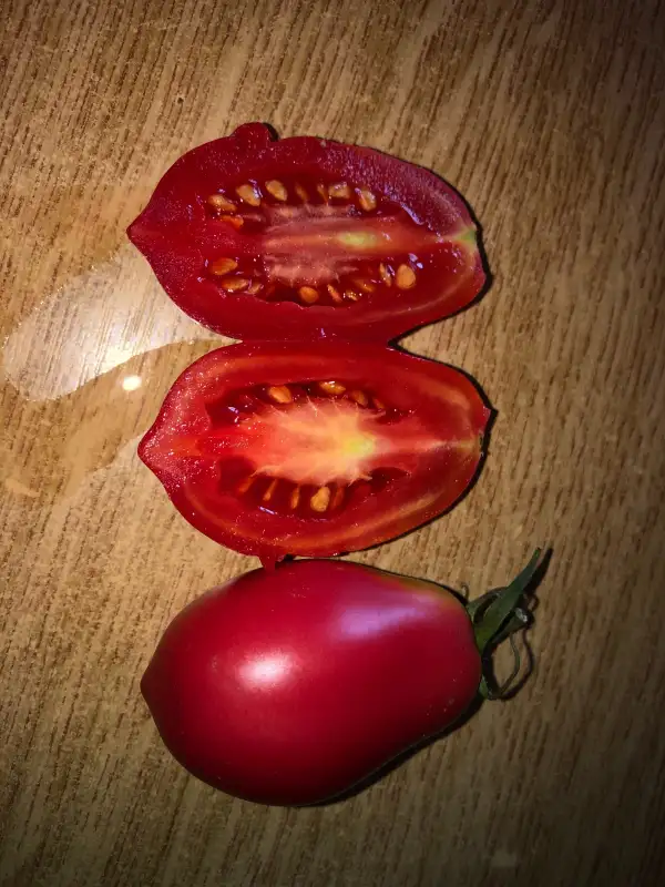 Tomaten: Grusha Rozovaya