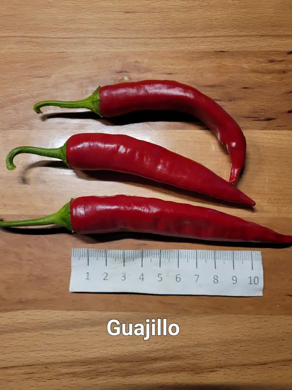 Chili / Paprika: Guajillo	Schärfe:	4	Höhe:	85cm