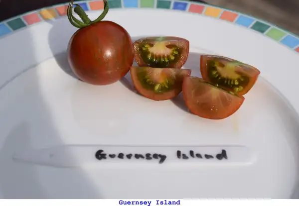 Tomaten: Guernsey Island