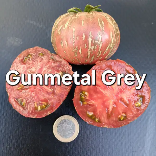 Tomaten: Gunmetal Grey