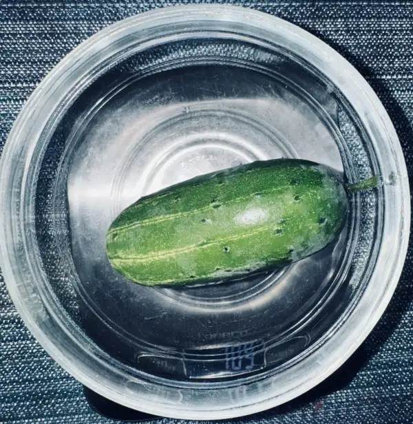 Gurken: Gurke Thai Mae Sai