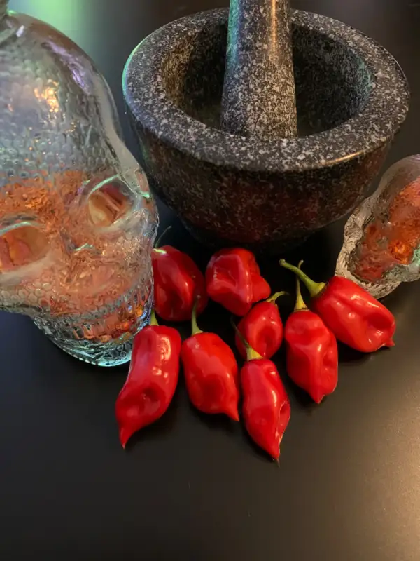 Chili / Paprika: Habanero Calita Red