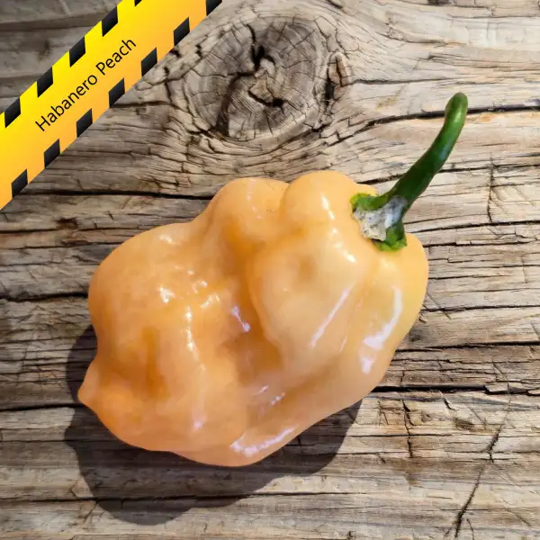 Chili: Habanero Peach