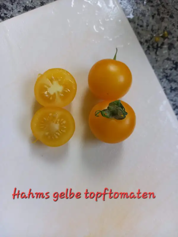 Tomaten: Hahm