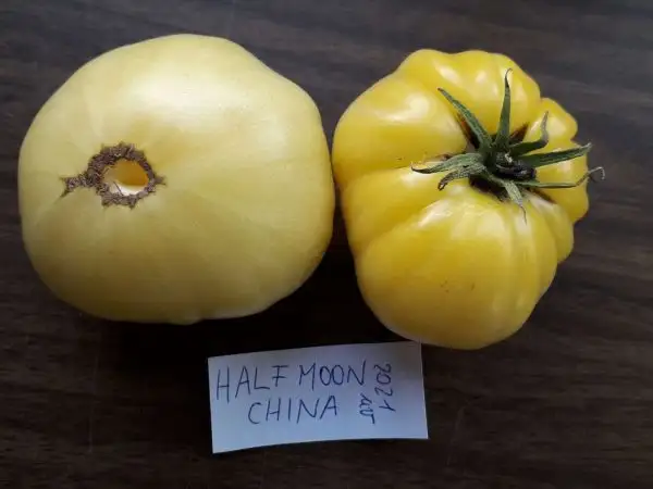 Tomaten: Half Moon China