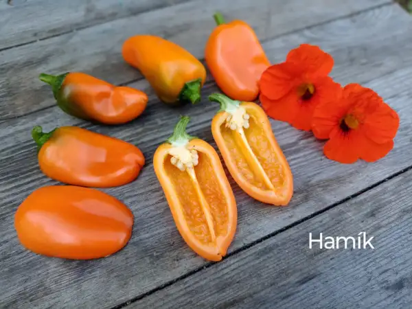 Chili / Paprika: Hamik