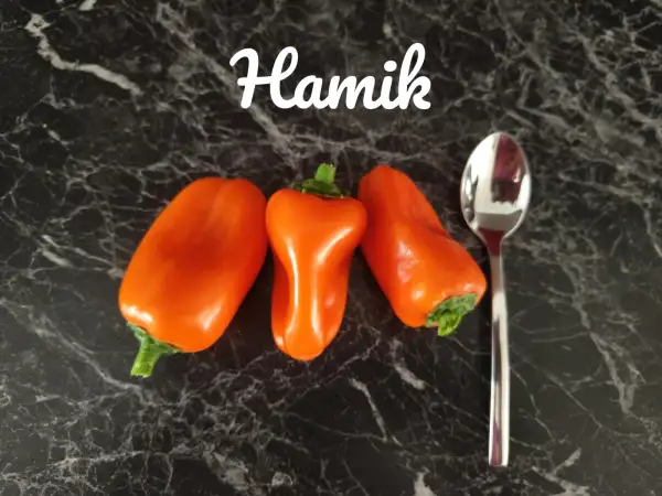 Chili / Paprika: Hamnik (2023) Paprika