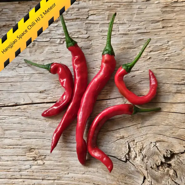 Chili: Hangjiao Space Chili HJ 2 Meteor