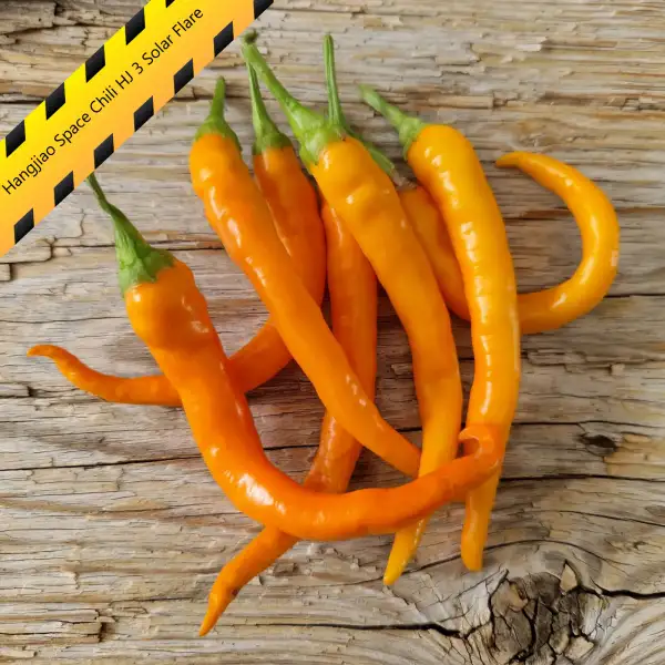 Chili: Hangjiao Space Chili HJ 3 Solar Flare