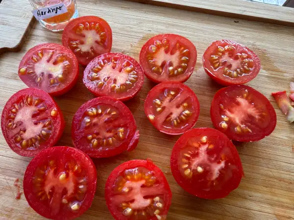 Tomaten: Harbinger