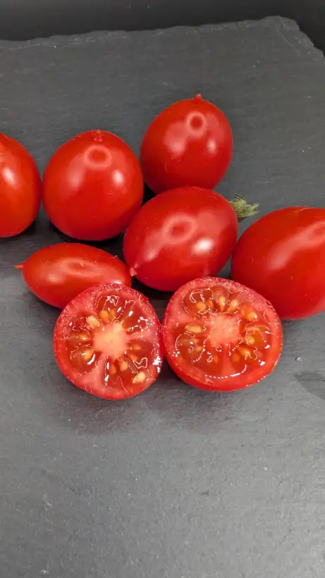 Tomaten: Hardin