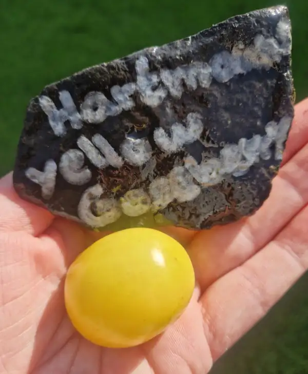 Tomaten: Hartmanns Yellow Gooseberry