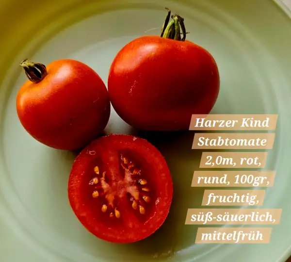 Tomaten: Harzer Kind