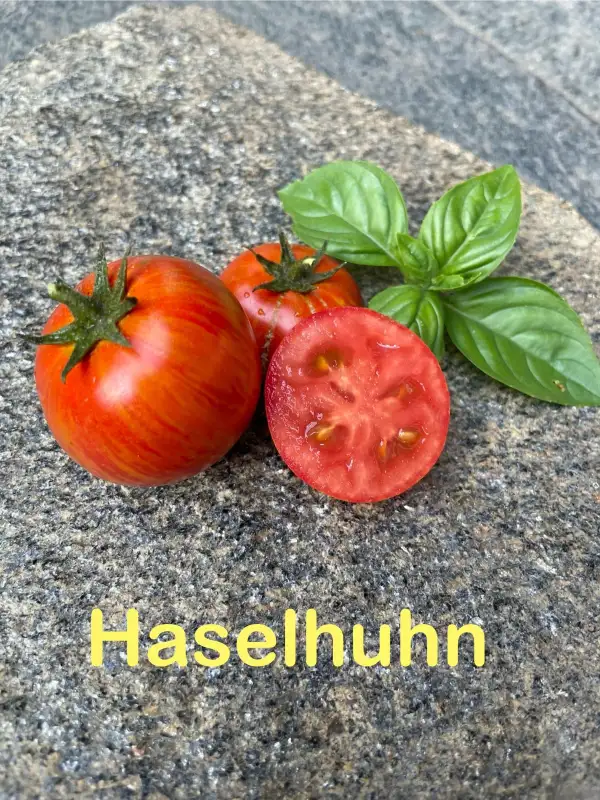 Tomaten: Haselhuhn