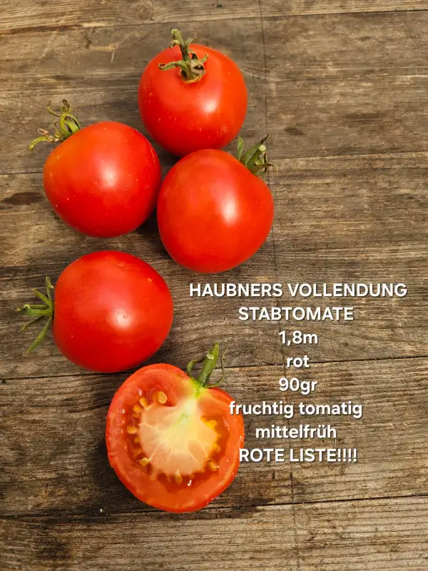 Tomaten: Haubners Vollendung