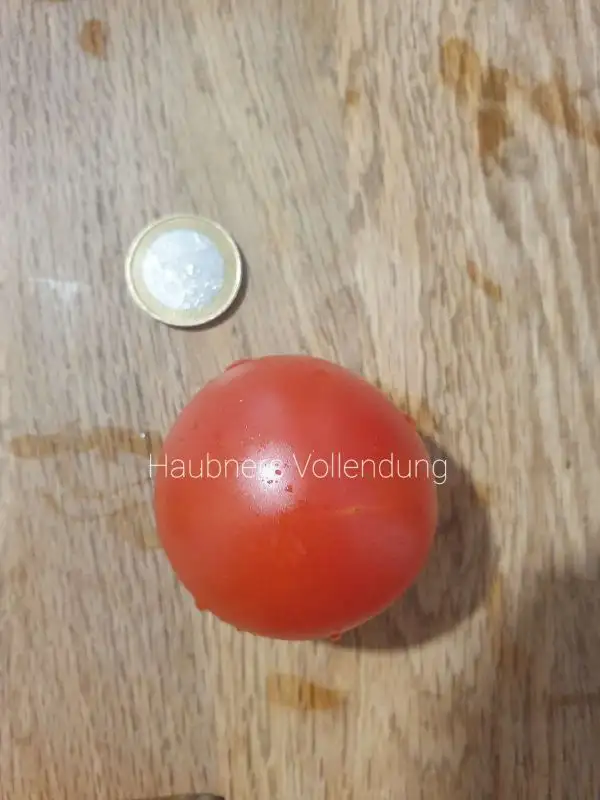 Tomaten: Haubners Vollendung