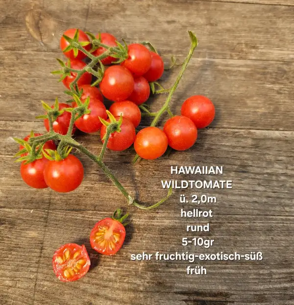 Tomaten: Hawaiian